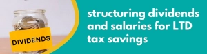 Accounting Wise - Dividends and Salaries for Maximum Limited Company Tax Savings