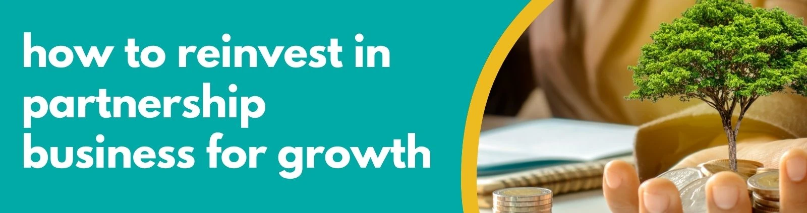 Accounting Wise - how to reinvest in partnership business for growth