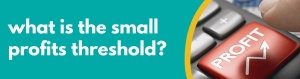 Accounting Wise - what is the small profits threshold