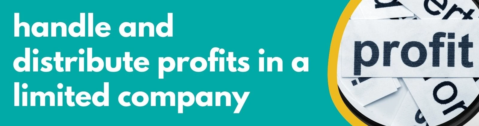 Accounting Wise - handle and distribute profits in a limited company