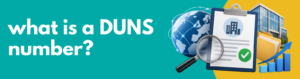 Accounting Wise - what is a DUNS number